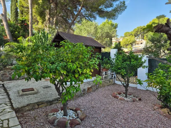Casa o chalet independiente en Calle Río Sella, 2, Pinar de Advocat-Cometa, Pinar de Advocat-Cometa - Foto 31