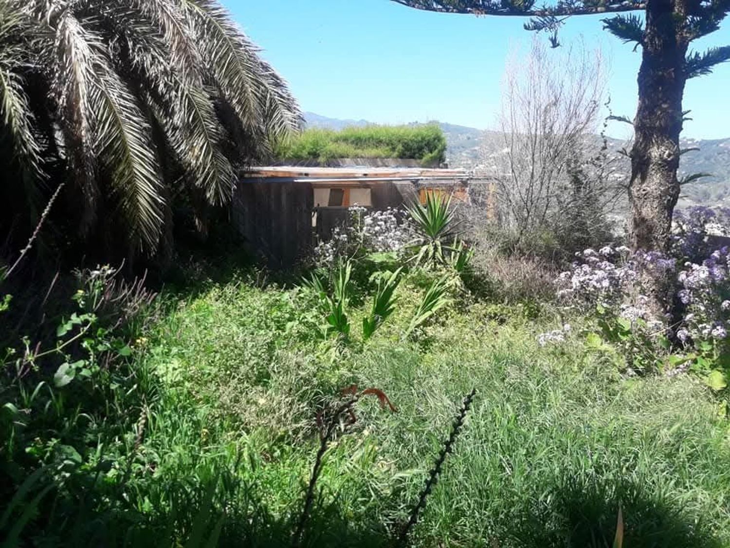 Casa o chalet independiente en Cuesta la Grama, 36 - Foto 7