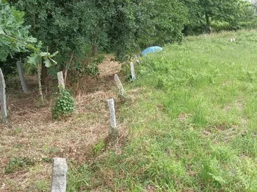 Terreno Residencial en  PO-332 26 - Foto 4