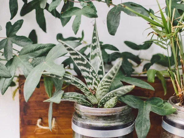 Dúplex en calle de Francesc Eiximenis, 79 - Foto 21