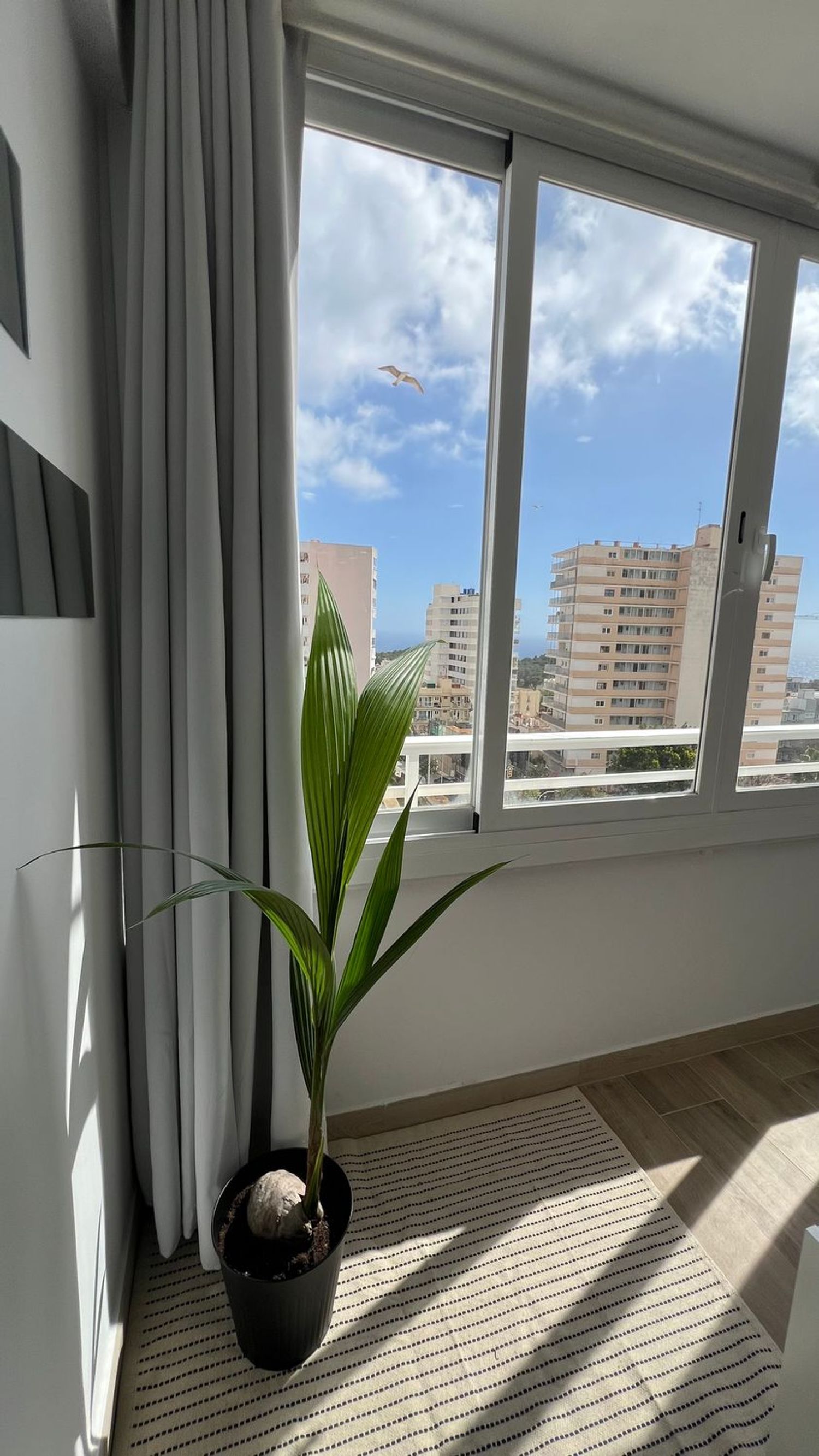 Piso en Calle de Saridakis, 24, Cala Major - Foto 12