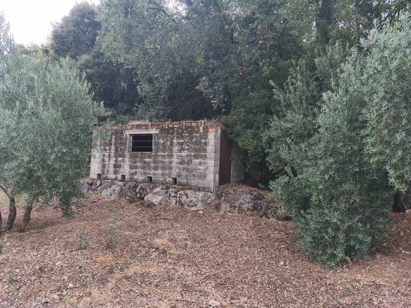 Finca rústica en Las veredas s/n s/n - Foto 9