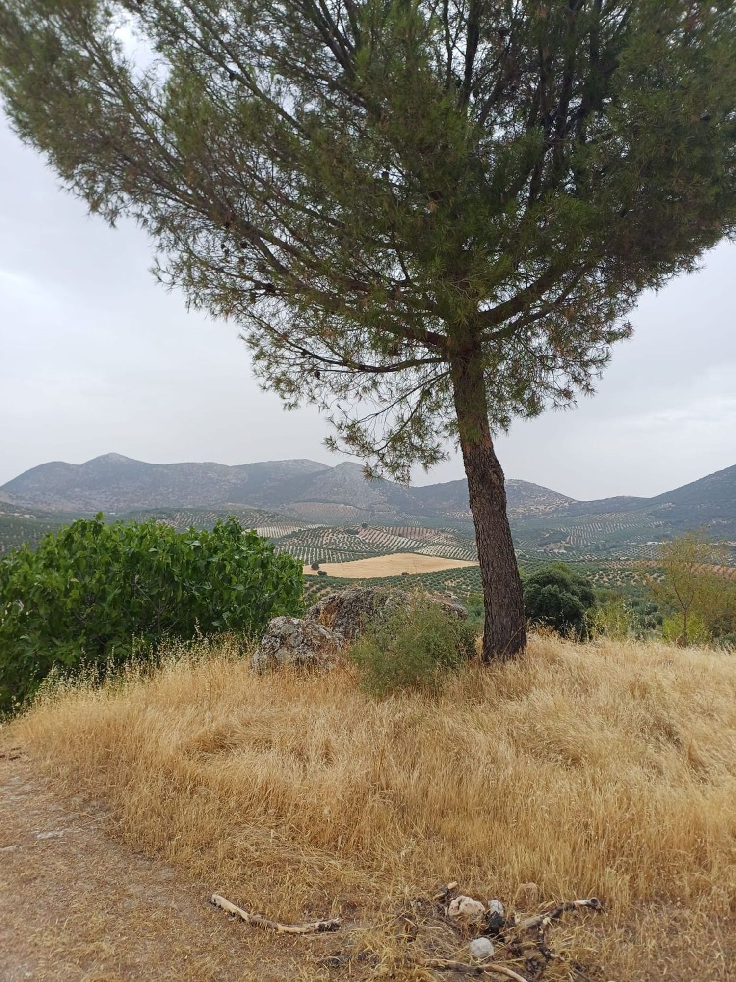 Cortijo en Cortijo en Unnamed Road s/n - Foto 10