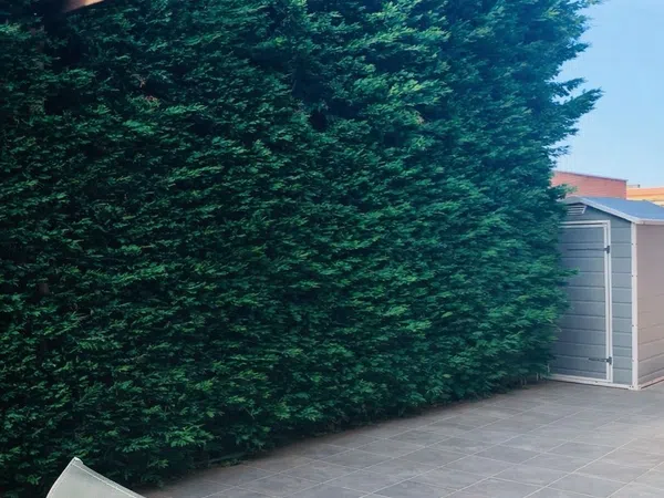 Piso en calle Ciudadela, 8 - Foto 7