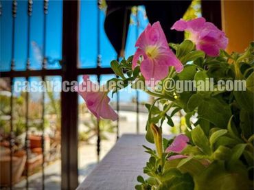 Piso en Porís de Abona, Arico - Foto 1