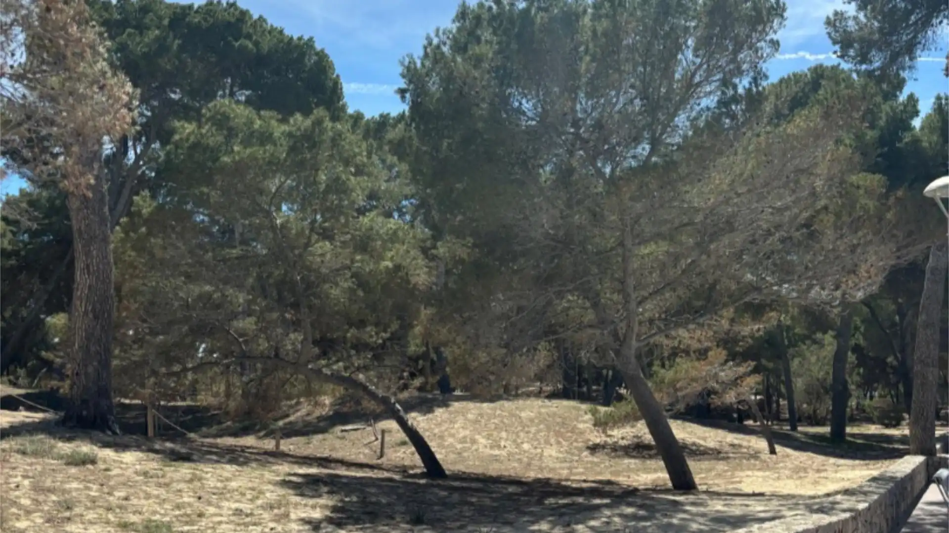 Piso en Calvià - Foto 16