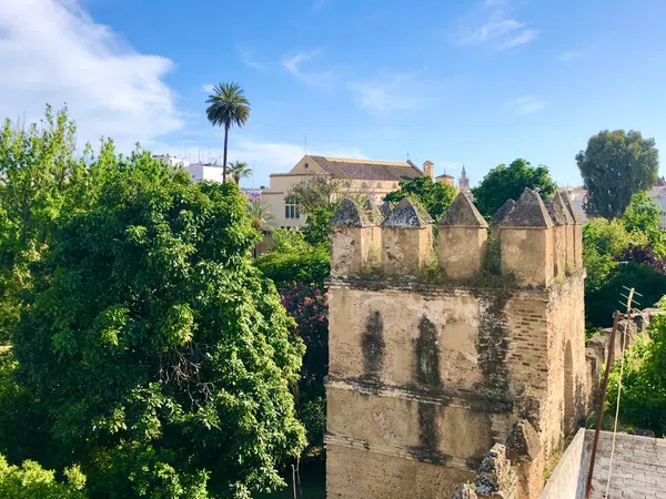 Piso en calle Sol, 118 - Foto 14