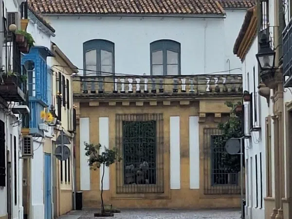 Piso en Calle Muñoz Capilla, 1, Casco Histórico - Ollerías - Marrubial - Foto 29