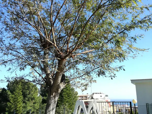 Piso en avenida Carvajal, 2 - Foto 22