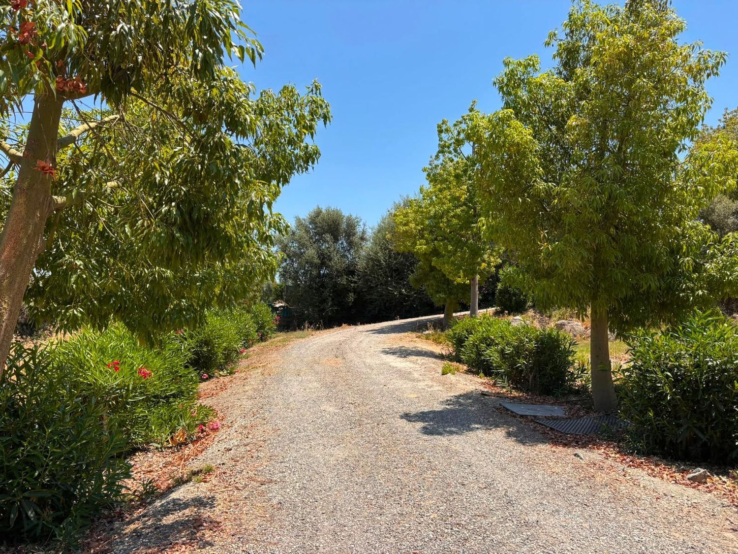 Finca rústica en Lugar Pie Gallina, 130, Villafranco del Guadalhorce, Villafranco del Guadalhorce - Foto 30