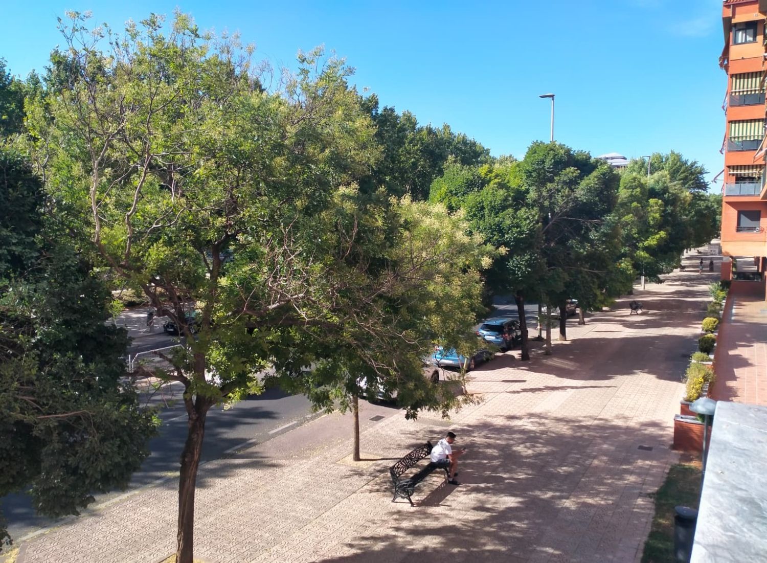 Piso en Avenida de Alemania, 37, Centro, Centro - Foto 14