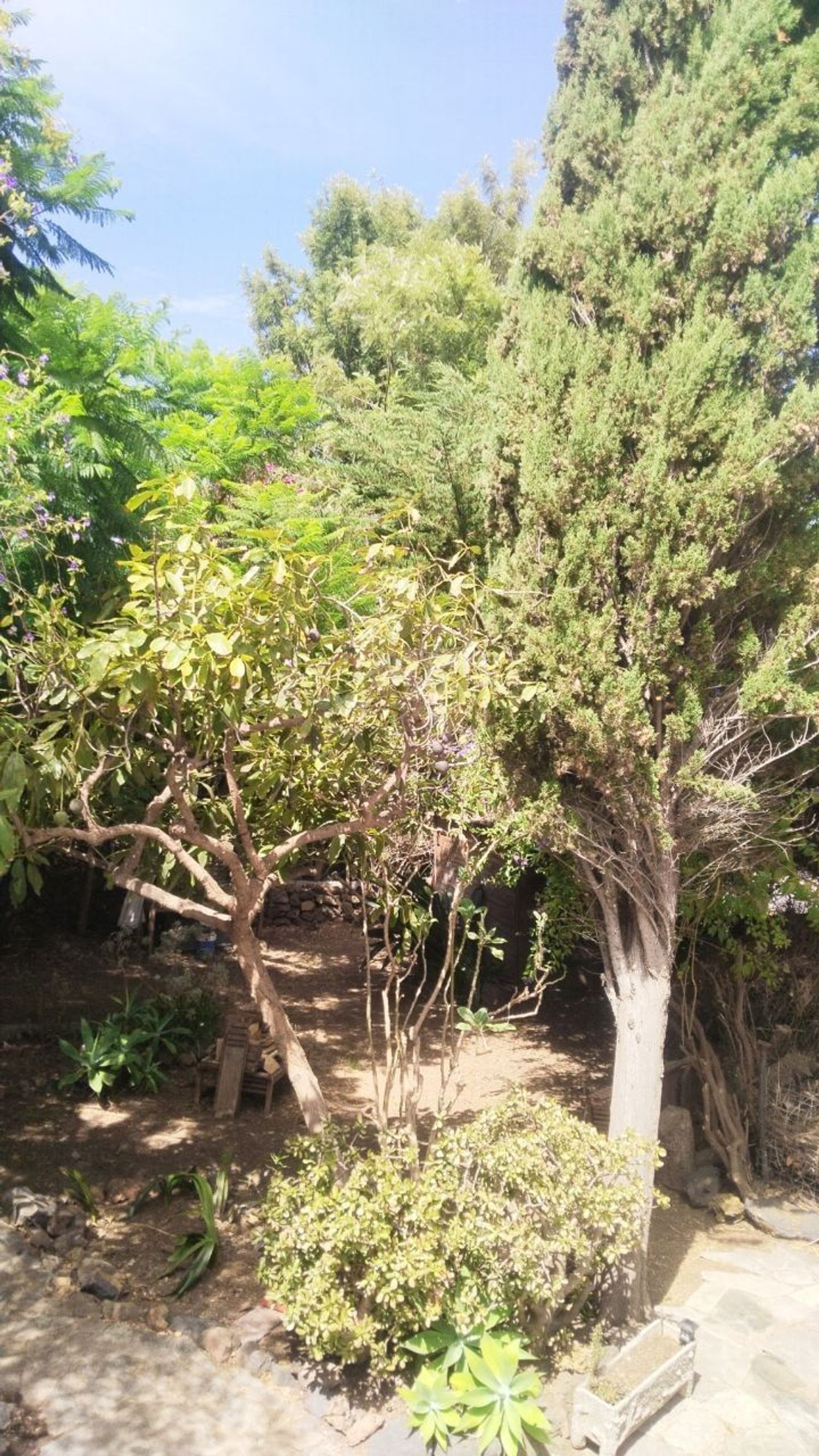 Finca rústica en Carretera Enlace el Ramal, 18 L, Centro, Centro - Foto 11
