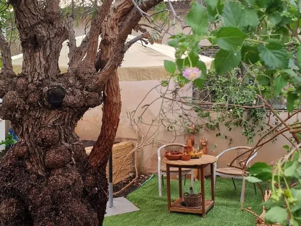 Finca rústica en Paraje Nogueras, 26 - Foto 2