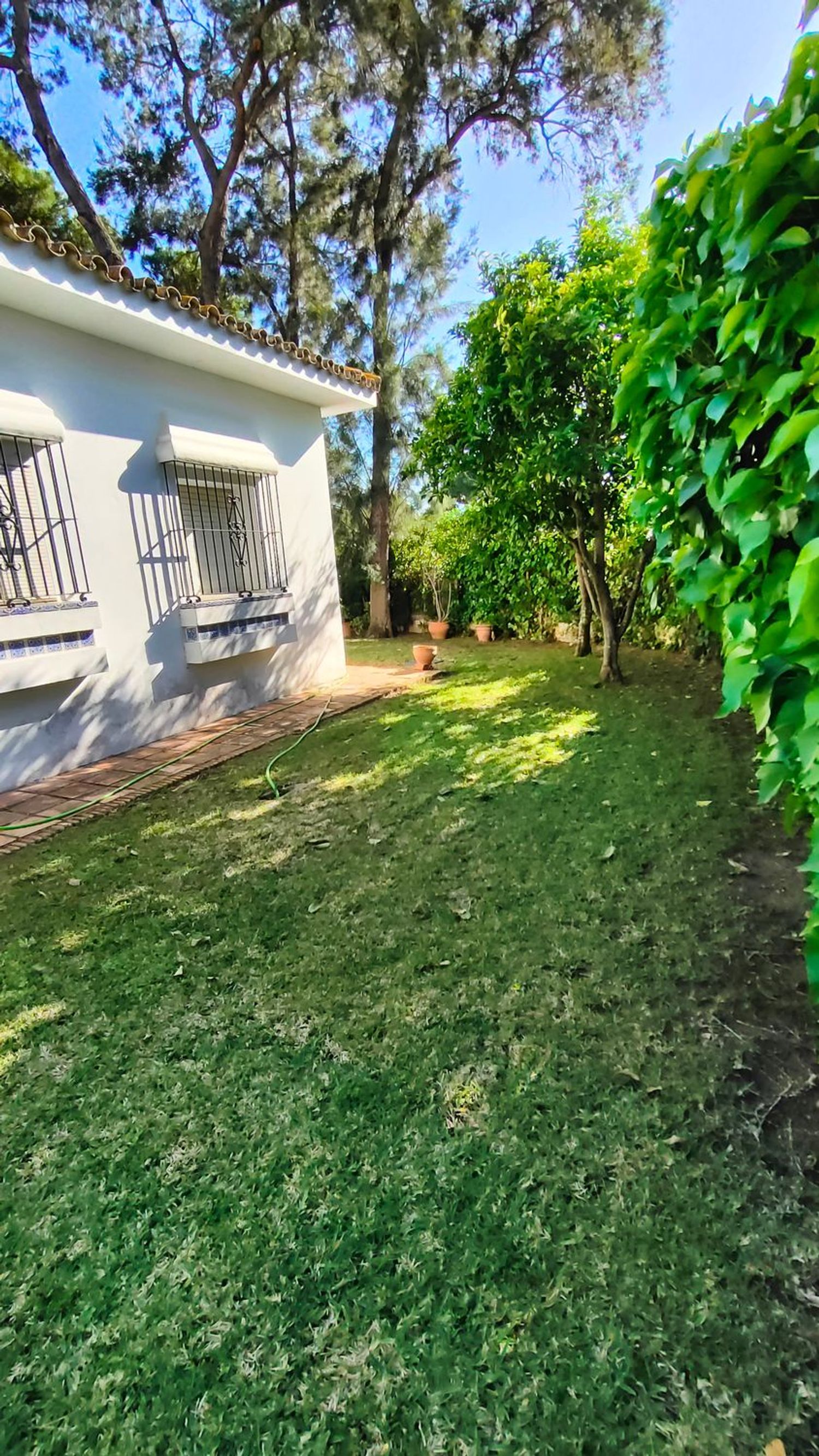 Casa o chalet independiente en Calle Abeto, 18, Vistahermosa - Foto 4