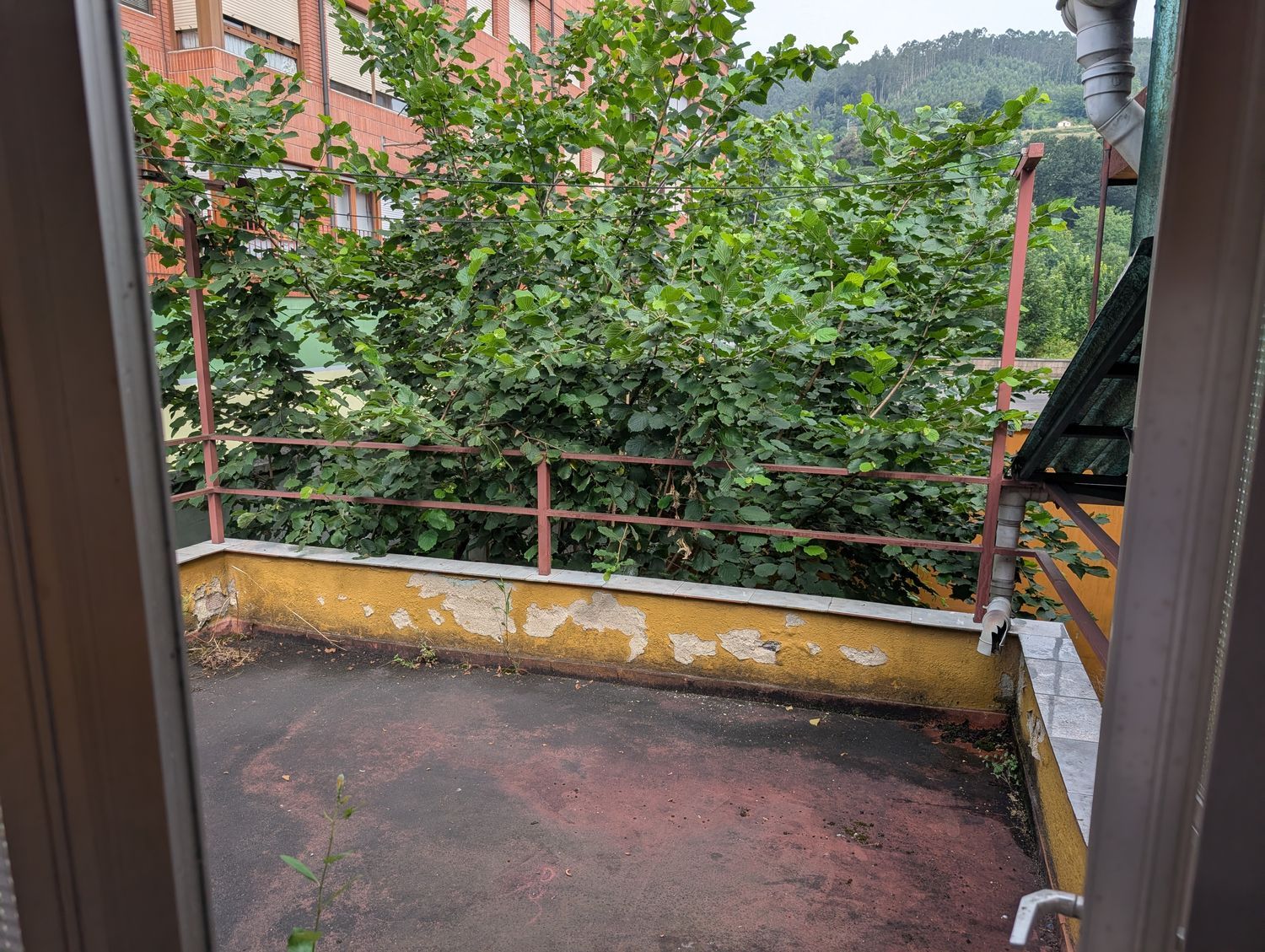 Piso en Calle Suárez Inclán, 15, San Claudio-Trubia-Las Caldas, San Claudio-Trubia-Las Caldas - Foto 20