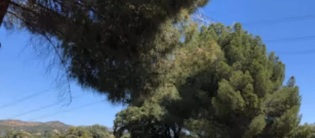 Finca rústica en  M-505 10 - Foto 5