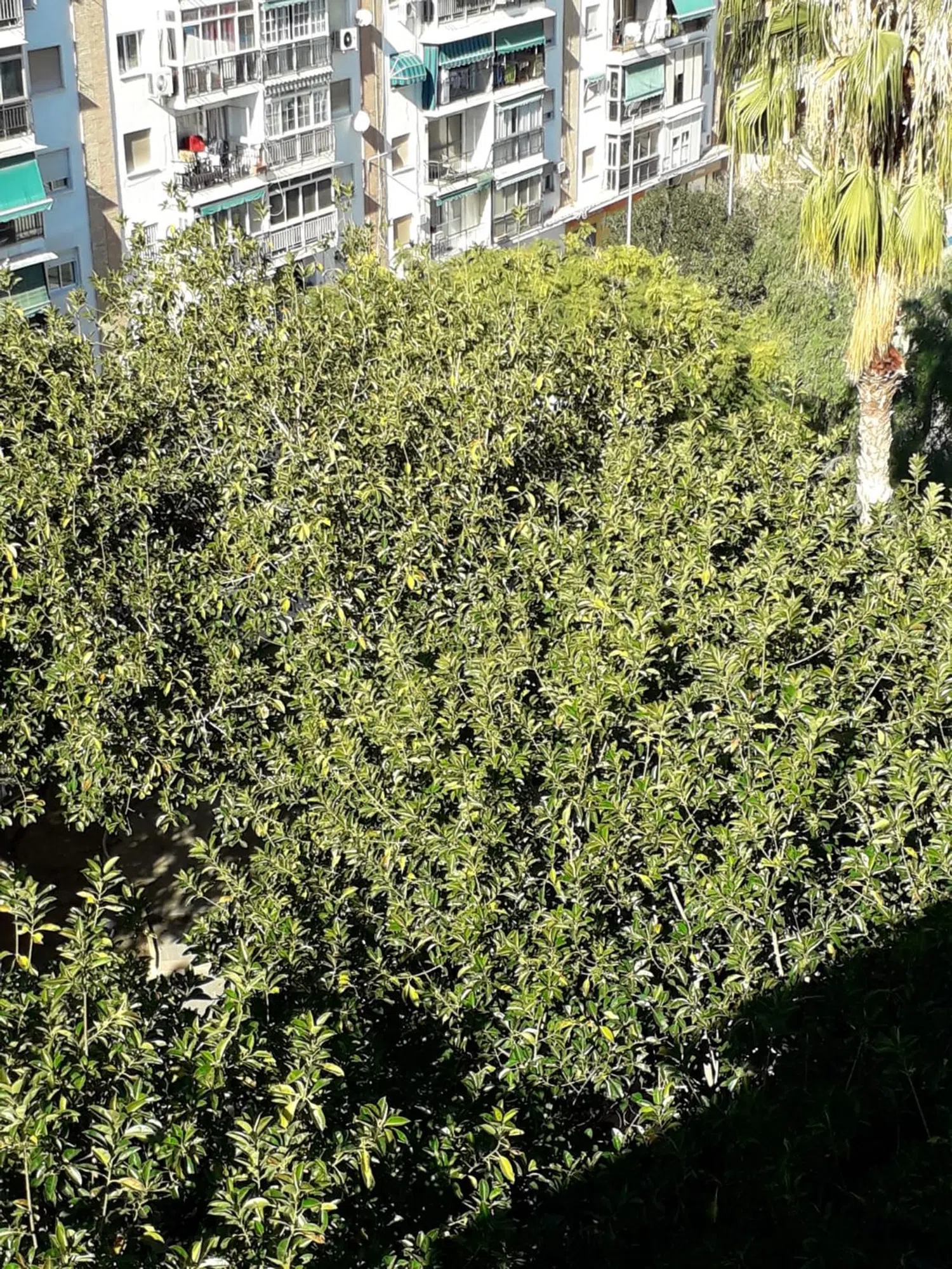 Piso en avenida del Doctor Marañón, 45 - Foto 6
