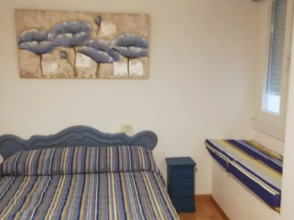 Piso en avenida das Camelias, 12 - Foto 10