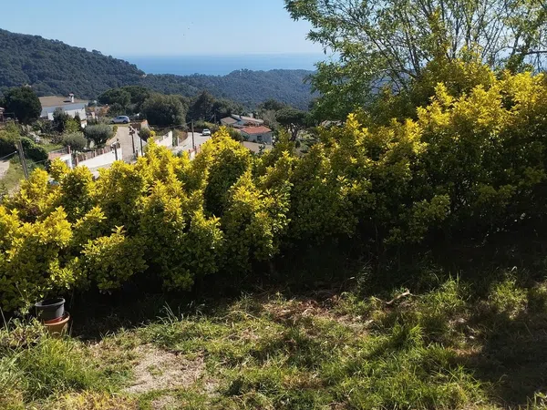 Estudio en Sant Cebrià de Vallalta - Foto 3