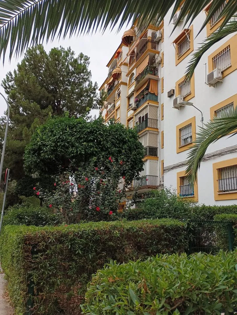 Piso en  Plaza Doctor Barraquer 3 - Foto 6