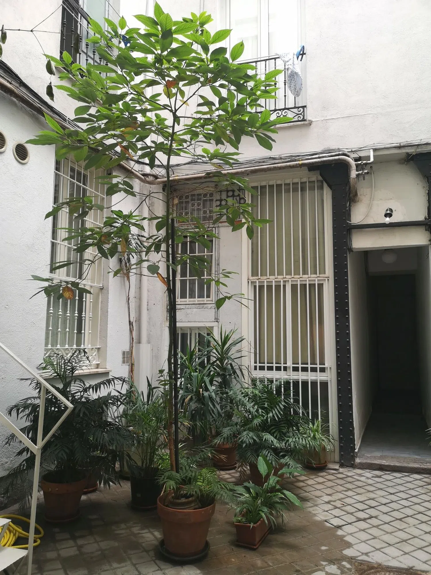 Piso en calle Barbieri, 3 - Foto 22