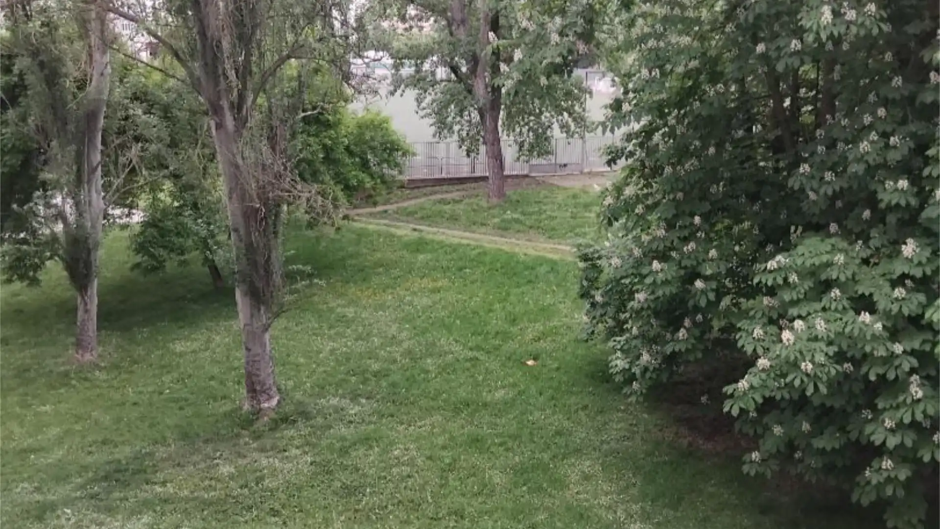 Piso en  Jose Pablo Ulibarri Xenda 12 - Foto 23