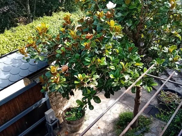 Casa de pueblo en Fontal, 5 - Foto 24