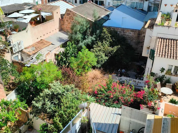 Piso en Calle de Tomàs Forteza, 25, Foners - Foto 21