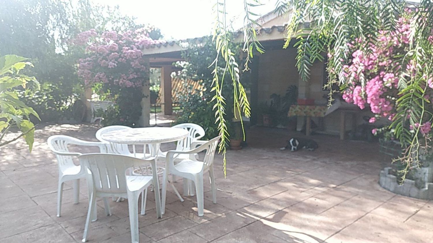 Casa rural en La Chacona, 6, Villanueva Golf, Villanueva Golf - Foto 21
