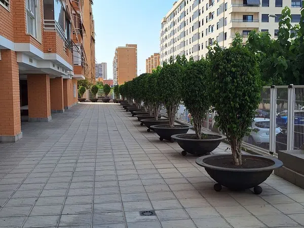 Piso en Calle Enfermera Angelina Ceballos Quintanal, 4 - Foto 3