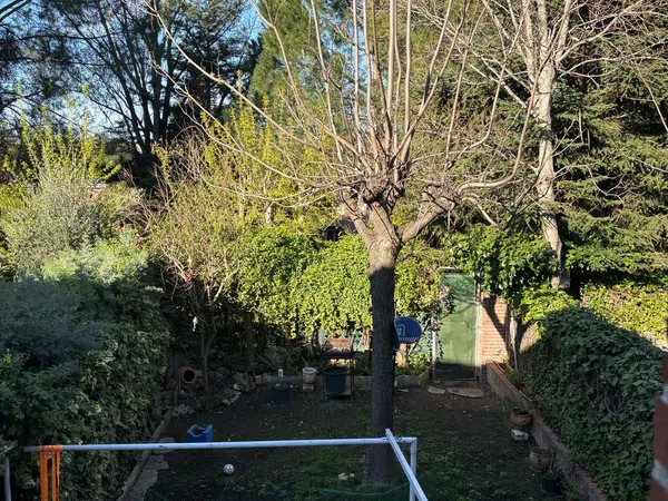 Chalet adosado en Barrio El Pinar- Punta Galea - Foto 28