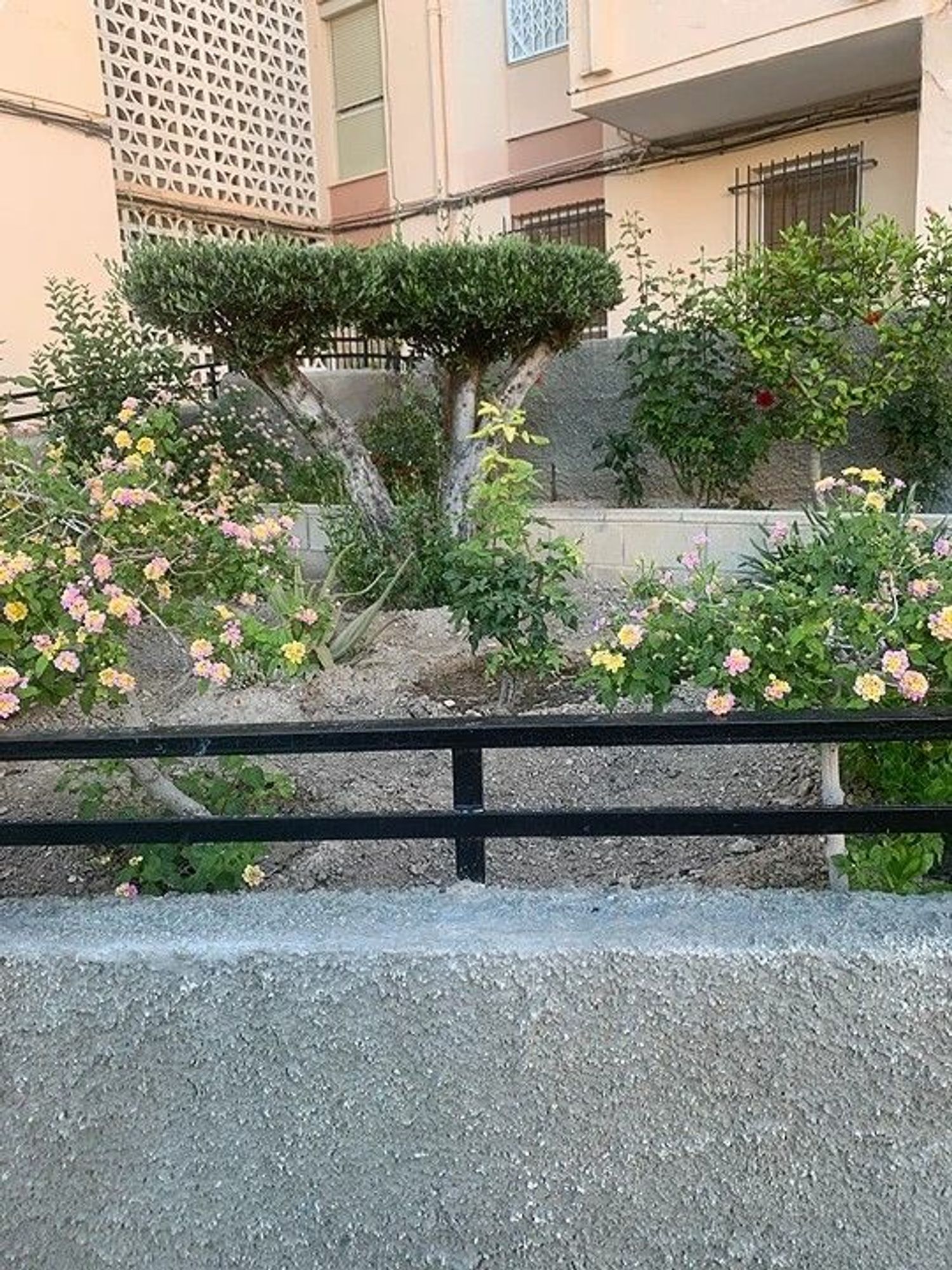 Piso en Calle Doctor Claramunt, 6 - Foto 2