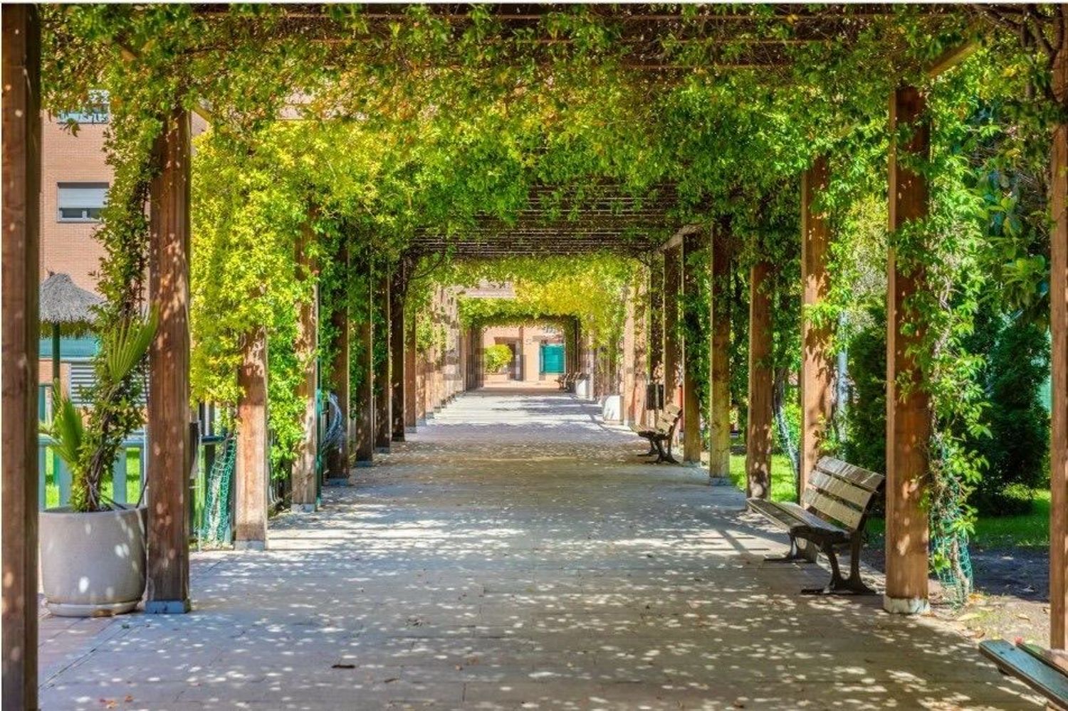 Piso en calle San Juan de Ortega, 64 - Foto 27