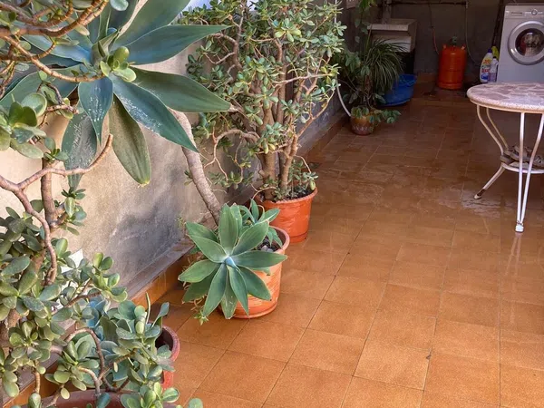 Chalet adosado en Calle Carlos Martínez Crouselles, 24 - Foto 20