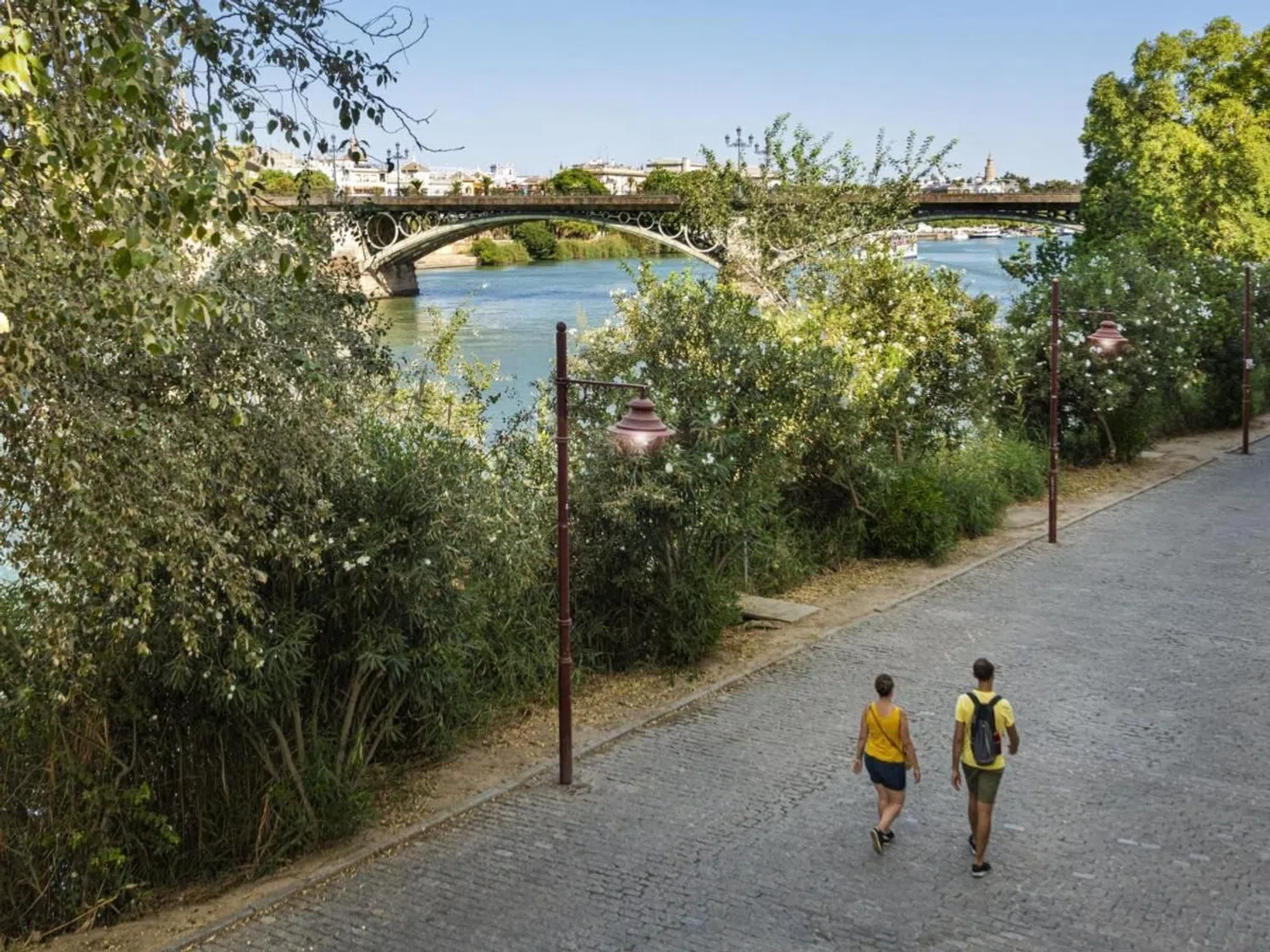 Estudio en calle Castilla, 7 - Foto 3