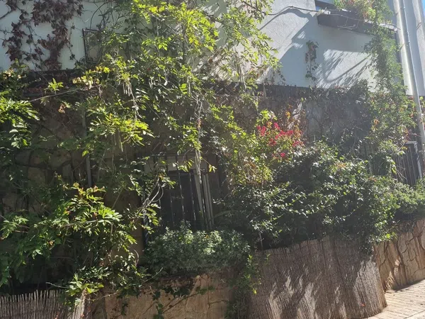 Piso en Caño, 1 - Foto 1