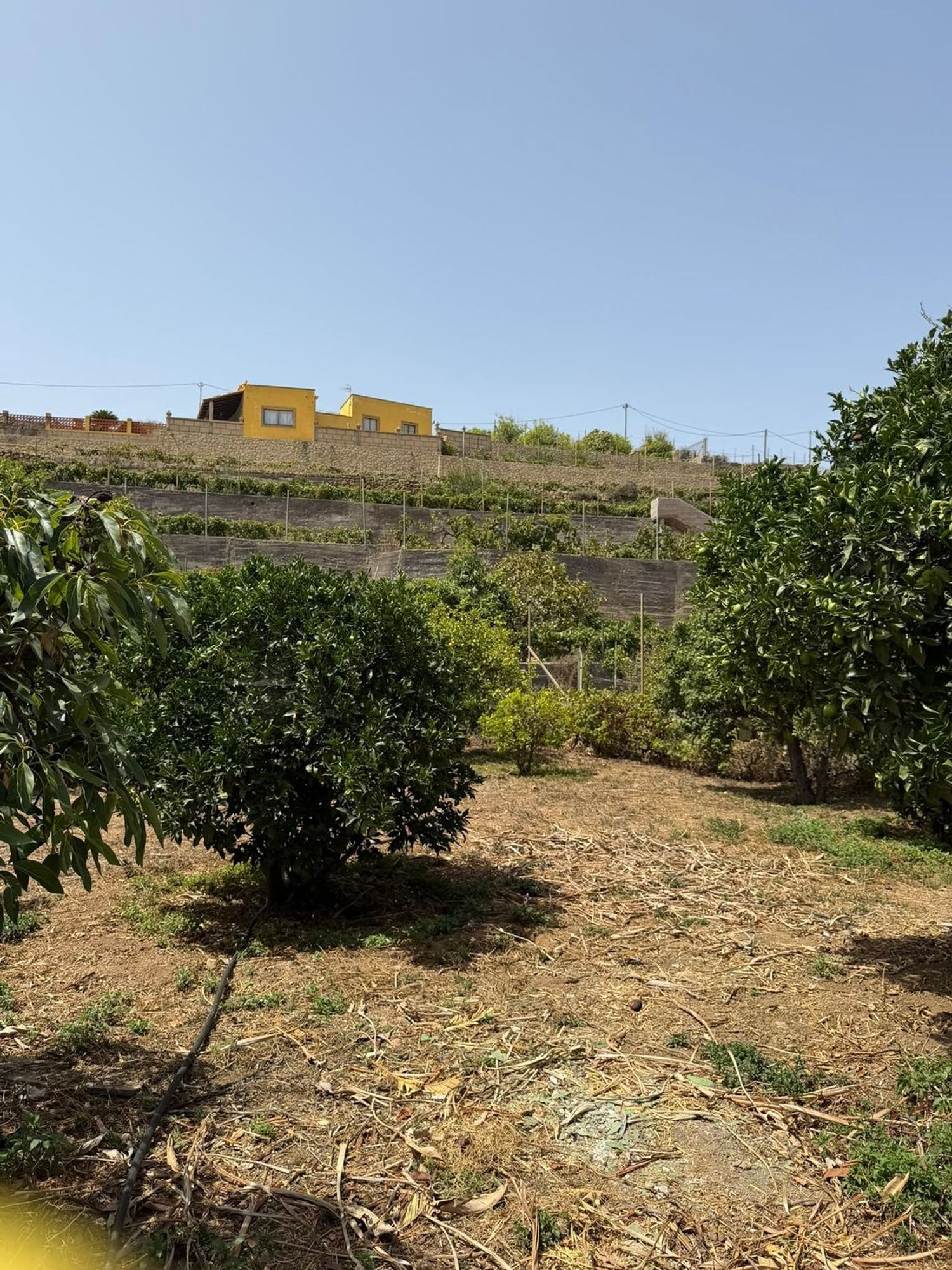 Finca rústica en Crta ortiz s/n - Foto 19