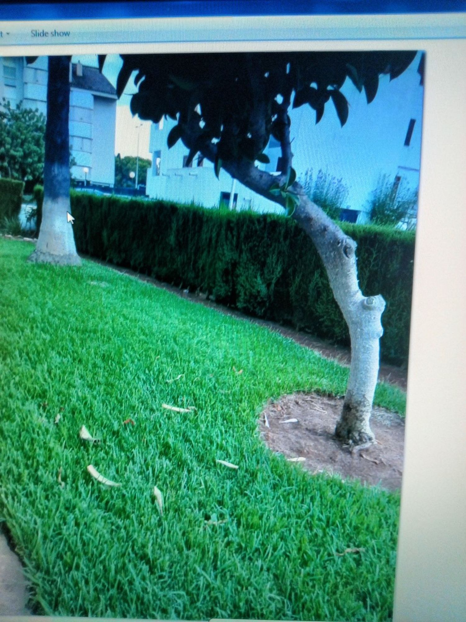 Piso en Paseo Tomillo, 1 - Foto 6