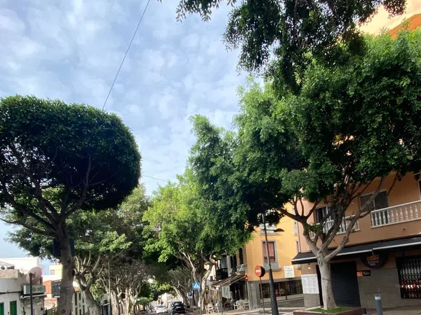 Piso en Calle la Tórtola, 3 - Foto 10