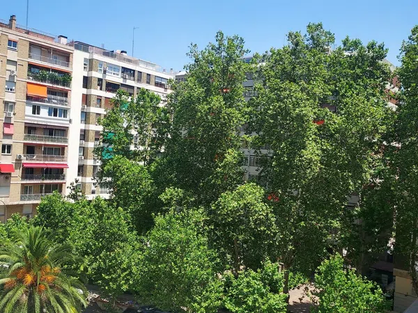 Estudio en Barrio Nueva España