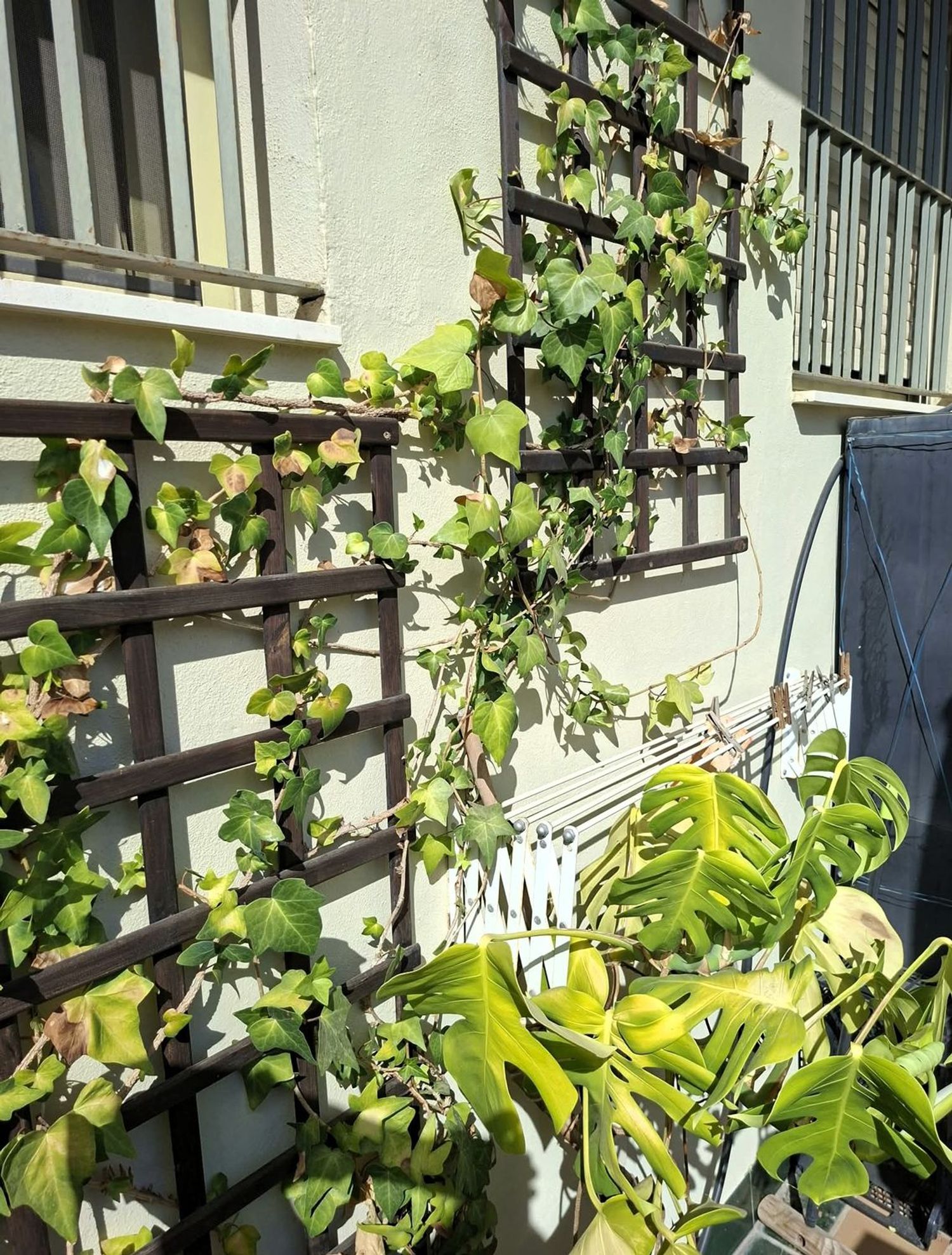 Dúplex en Calle Juzgado, 10, San Julián - Foto 12