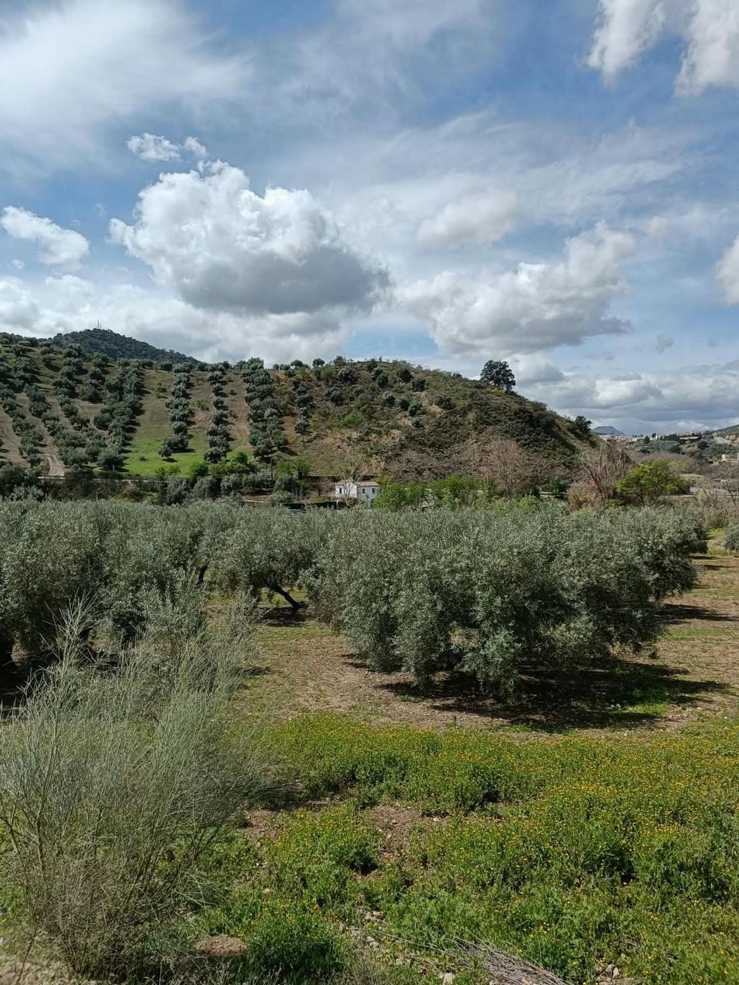 Casa rural en Calle Huertas, 16 - Foto 27