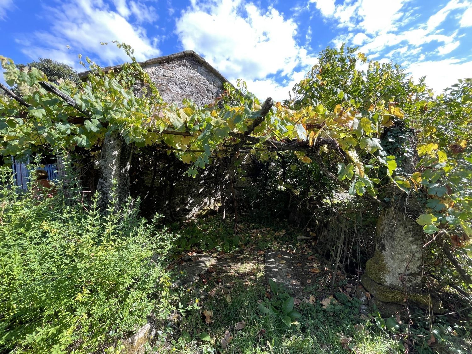 Finca rústica en Poulo s/n - Foto 10