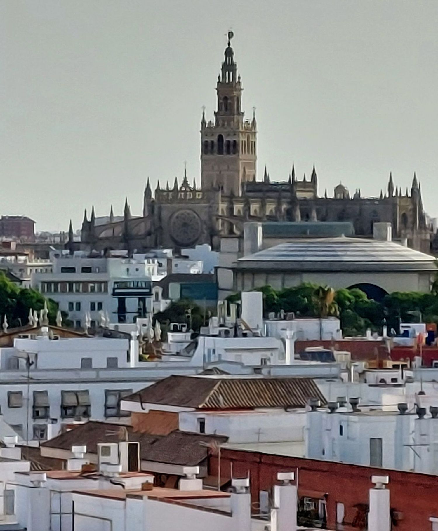 Piso en Calle Esperanza de Triana, 23, López de Gomara - Foto 13