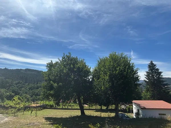 Finca rústica en San Pedro, 3 - Foto 2