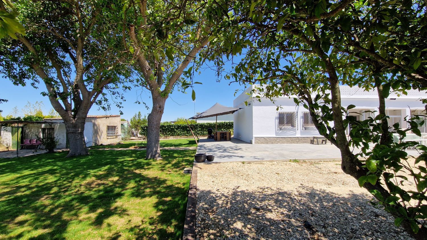 Finca rústica en carril el Clavijo, 39 - Foto 5