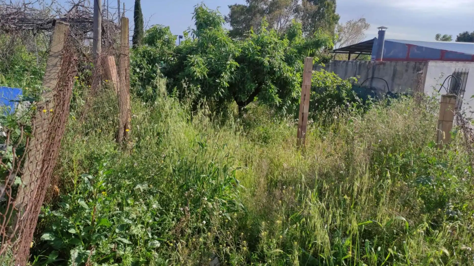 Finca rústica en  Diseminado Urreas 11 - Foto 32