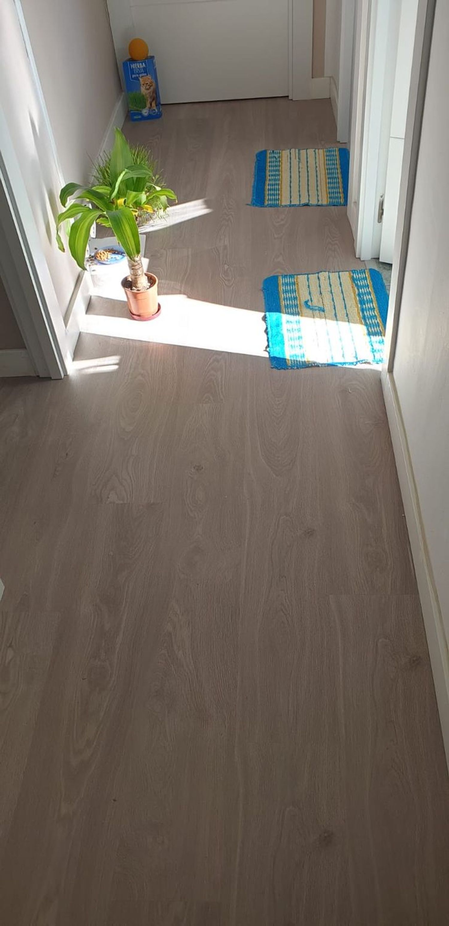 Piso en calle de la Verja, 44 - Foto 45