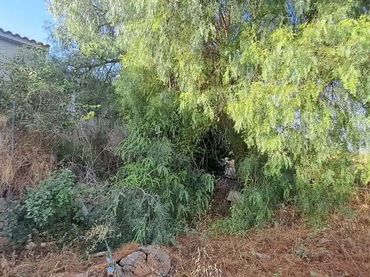 Piso en  Vía Vía Pecuaria 81 - Foto 7