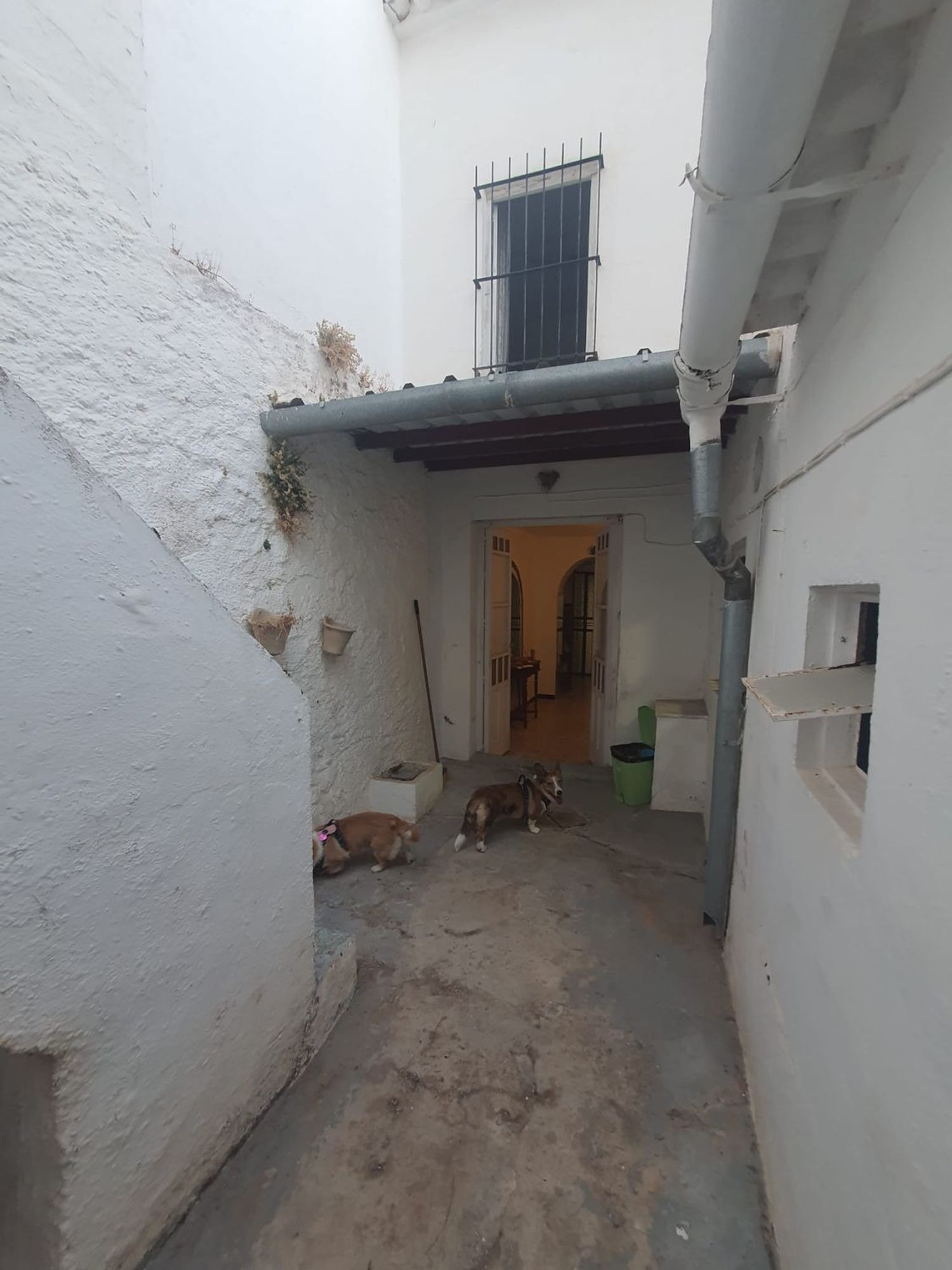 Casa o chalet independiente en Calle Concepción, 66 - Foto 5